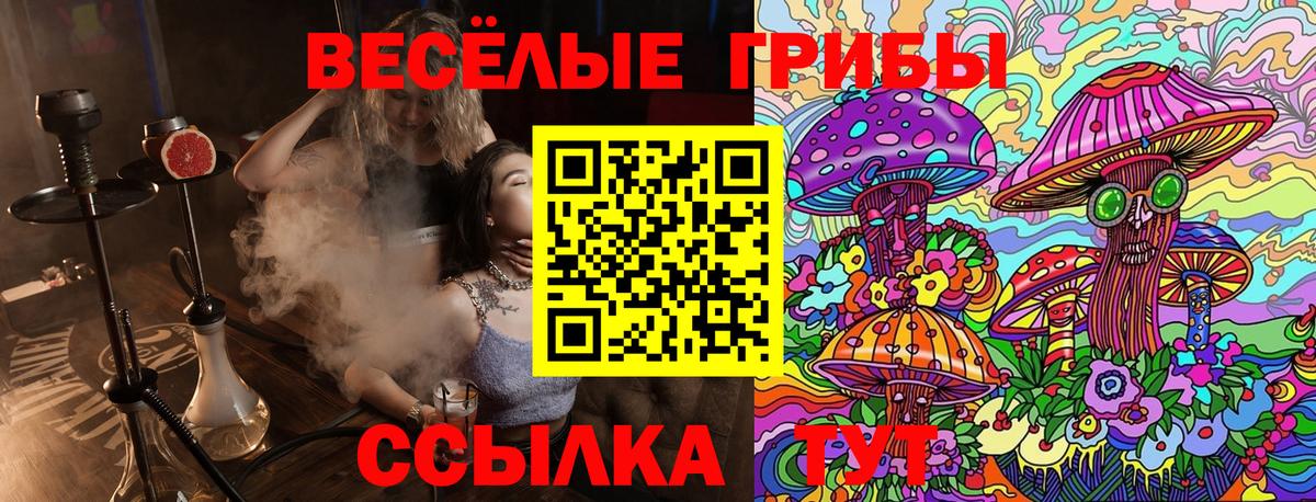 Мыски  Галлюциногенные грибы мухоморы  купить   Вход с VPN  Галлюциногенные грибы мухоморы 