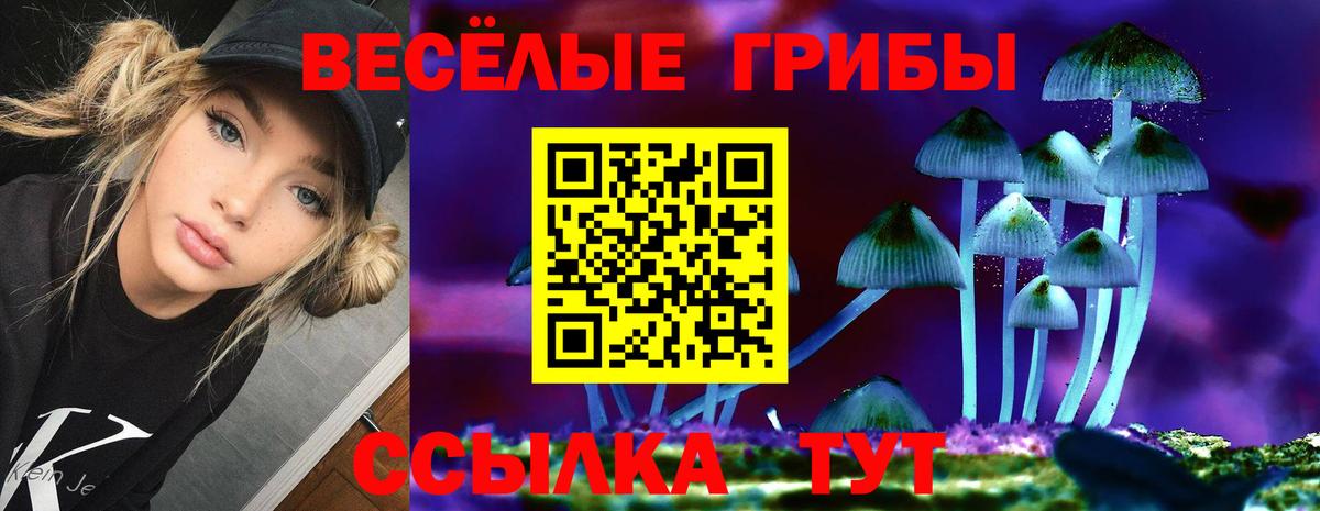 Псилоцибиновые грибы Psilocybe Мыски